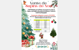 Vente de Sapins de Noel